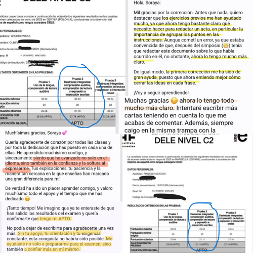 correccion prueba escrita DELE, prueba escrita DELE B2, prueba escrita DELE C1, prueba escrita DELE C2, correcciones DELE